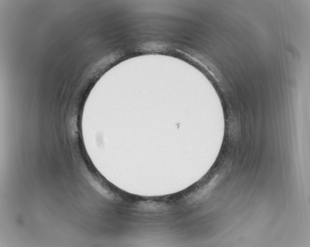 X0000110730633200907241228
