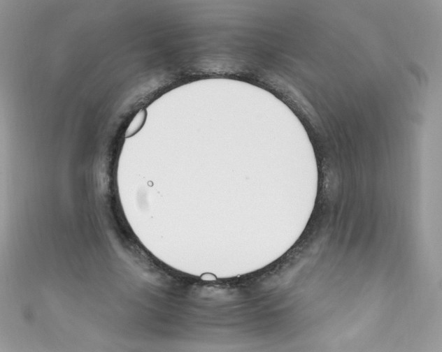 X0000110730635200907241228