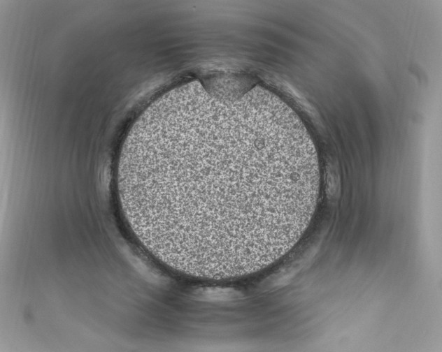 X0000110730637200907241228