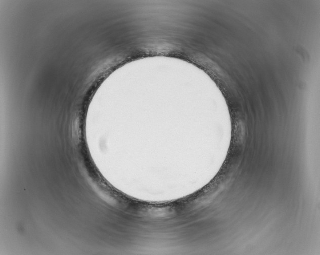 X0000110730638200907241228