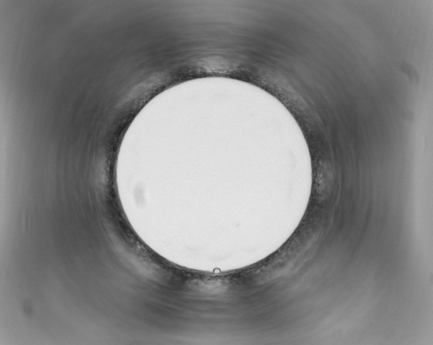 X0000110730639200907241228