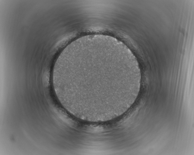 X0000110730640200907241228