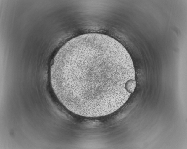 X0000110730642200907241228
