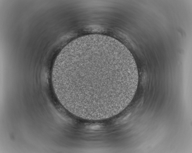 X0000110730643200907241228