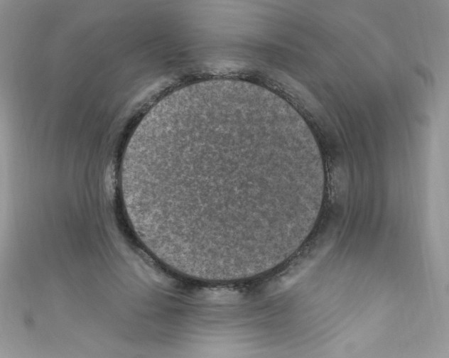 X0000110730644200907241228
