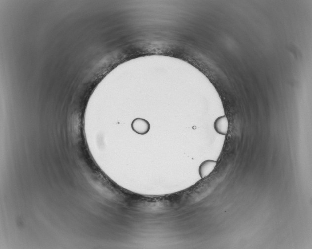 X0000110730646200907241228