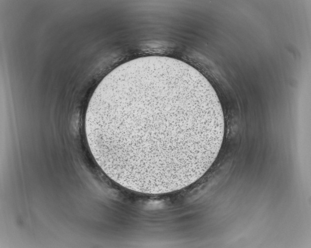 X0000110730647200907241228