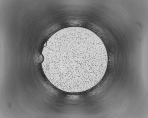 X0000110730649200907241228