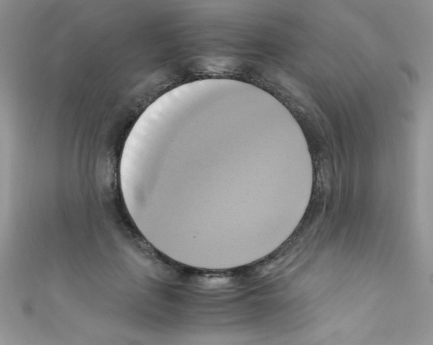 X0000110730651200907241228