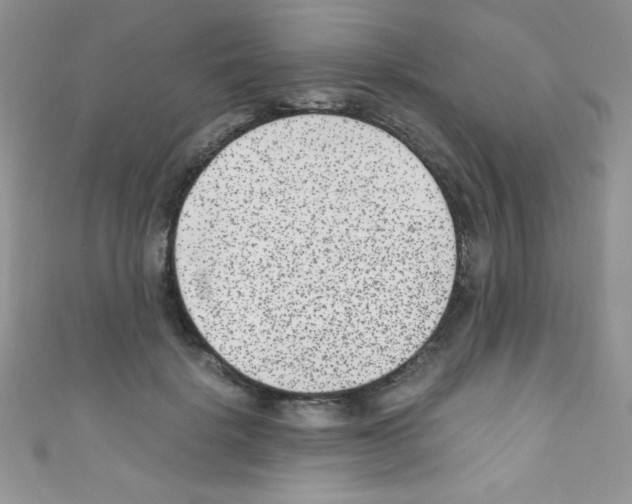 X0000110730652200907241228