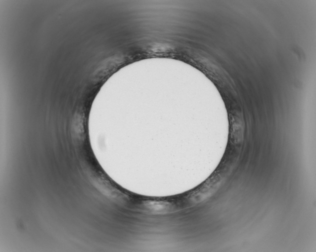 X0000110730654200907241228