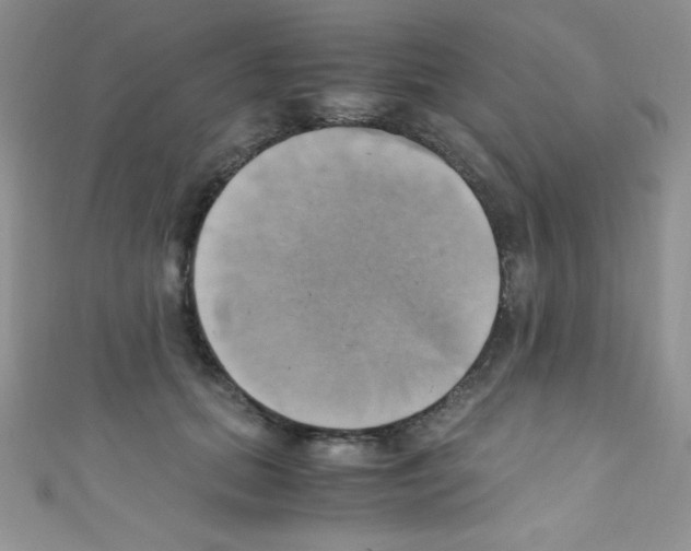 X0000110730655200907241228