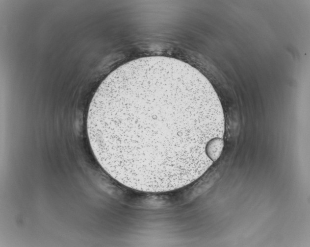 X0000110730656200907241228
