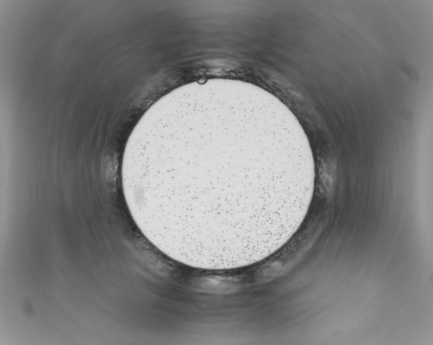 X0000110730657200907241228
