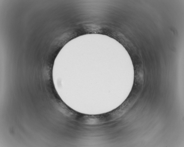X0000110730658200907241228