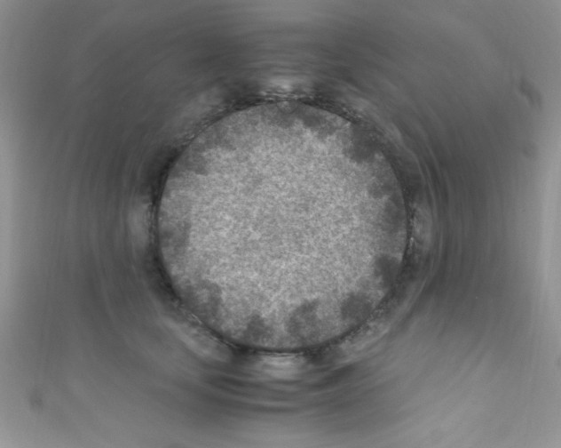 X0000110730659200907241228