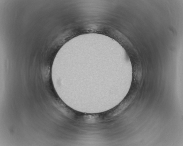 X0000110730660200907241228