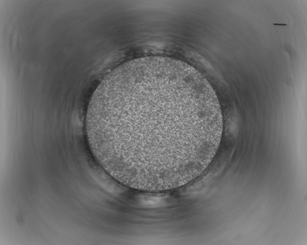 X0000110730661200907241228