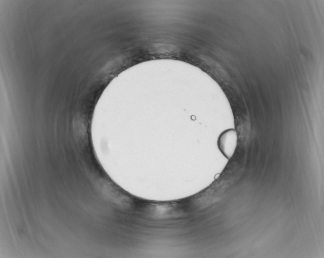 X0000110730662200907241228