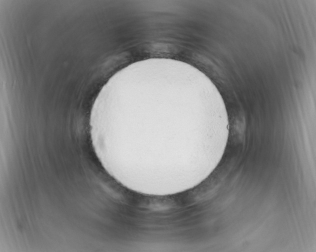 X0000110730663200907241228