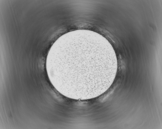 X0000110730664200907241228