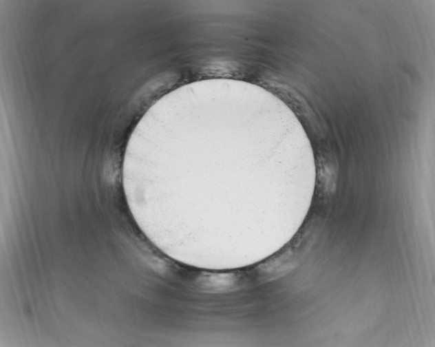 X0000110730665200907241228