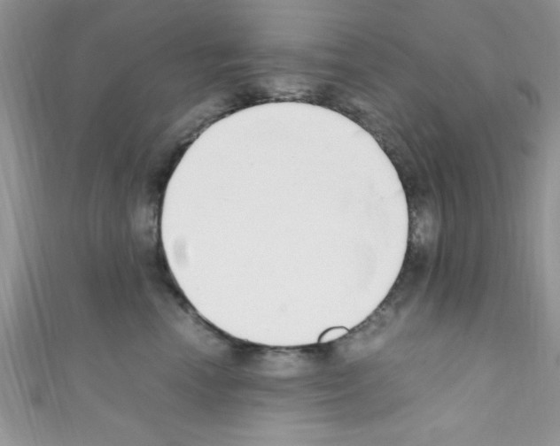 X0000110730666200907241228