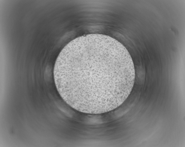 X0000110730667200907241228