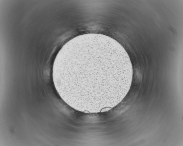 X0000110730668200907241228