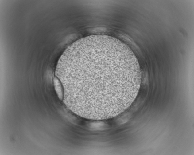X0000110730669200907241228