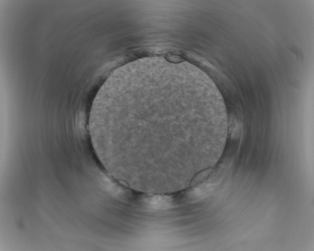 X0000110730670200907241228