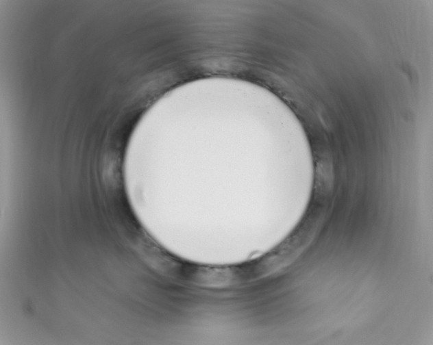 X0000110730671200907241228