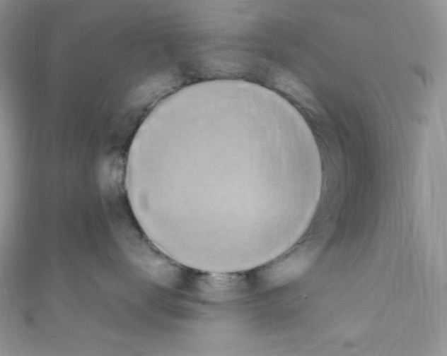 X0000110730672200907241228