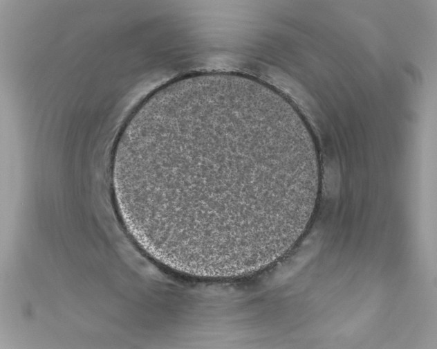 X0000110730673200907241228