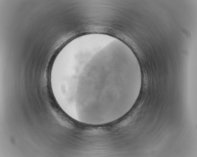X0000110730674200907241228