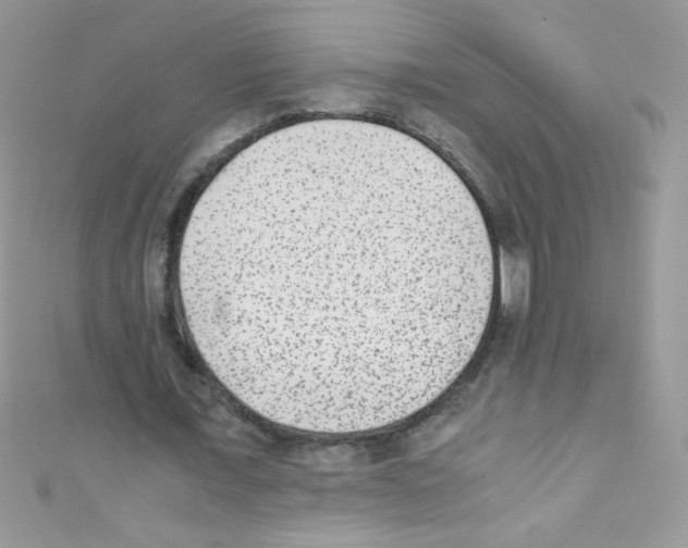 X0000110730675200907241228