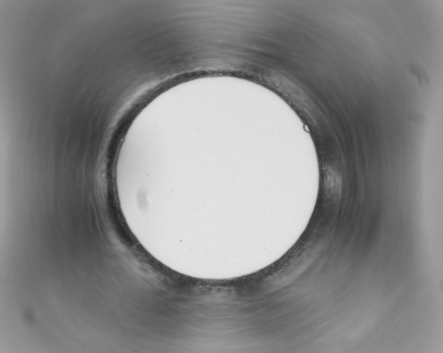 X0000110730676200907241228