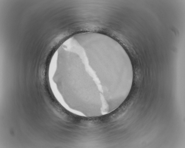 X0000110730679200907241228