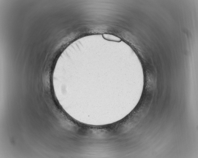 X0000110730681200907241228