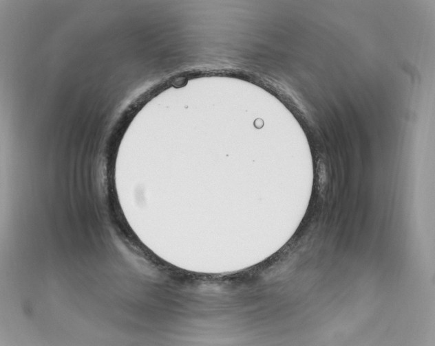 X0000110730684200907241228