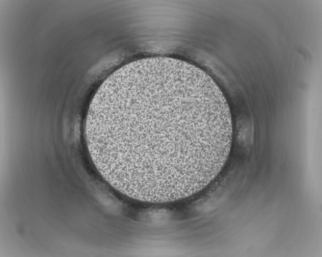 X0000110730685200907241228
