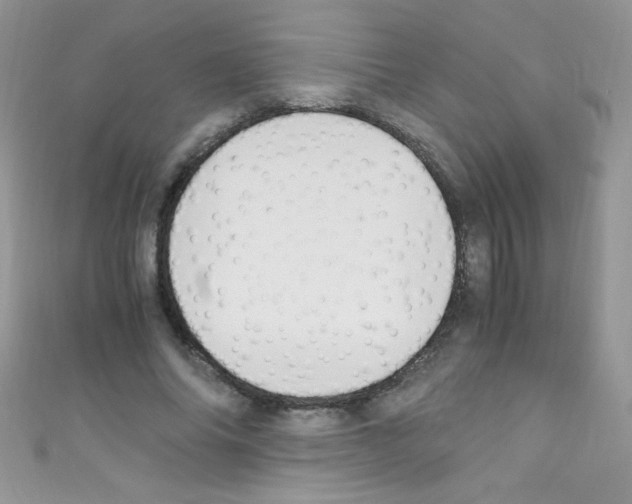 X0000110730686200907241228
