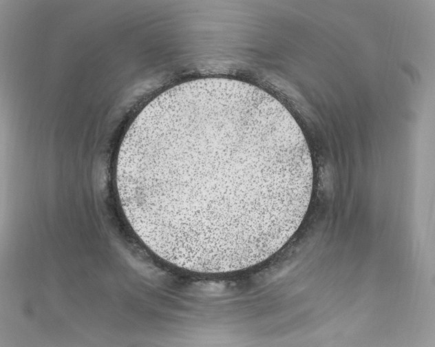 X0000110730687200907241228