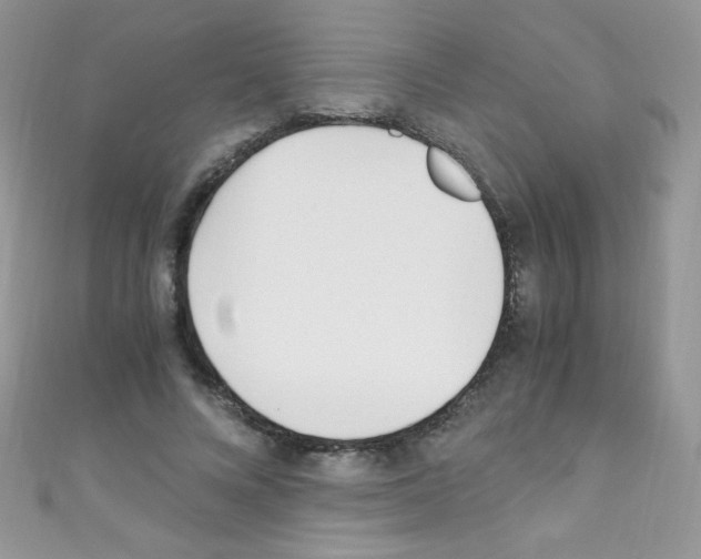 X0000110730688200907241228