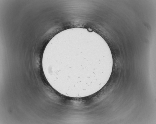 X0000110730693200907241228