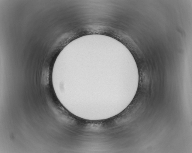 X0000110730694200907241227