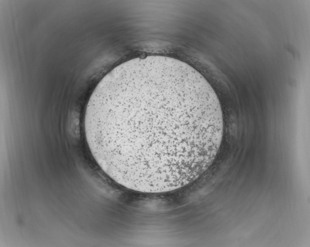 X0000110730696200907241227