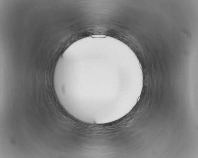 X0000110730697200907241227