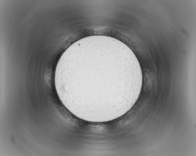 X0000110730698200907241227