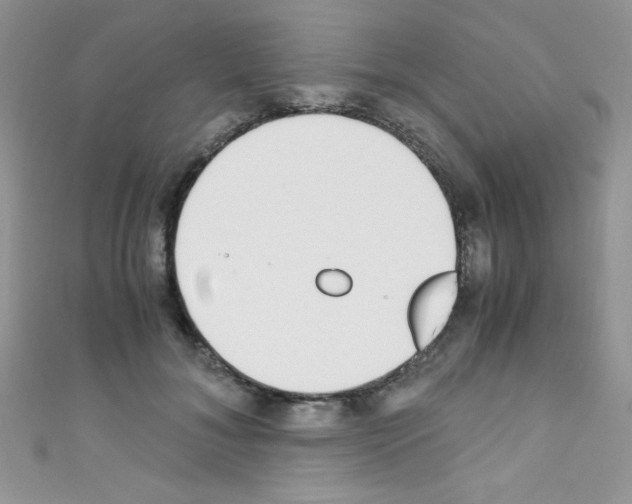 X0000110730700200907241227